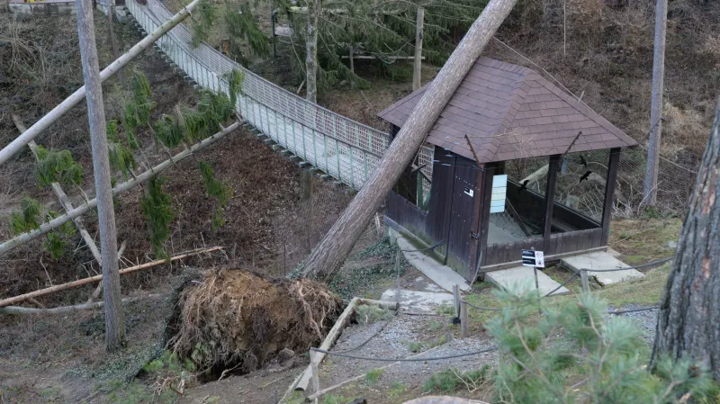 Výběh makaků v Zoo Olomouc po vichřici Eberhard