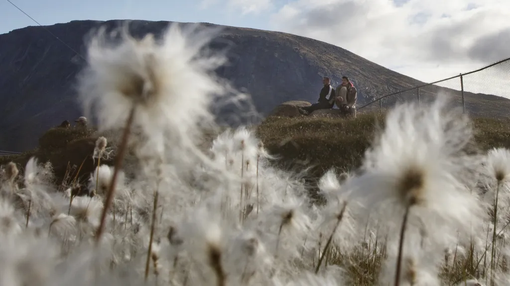 Arktida se zahřívá - a zelená