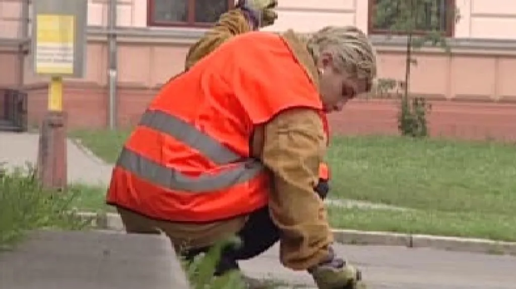 Pracovnice veřejné služby