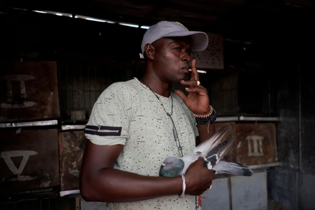 Kubánci si našli nový druh zábavy v chovu holubů. Hlavním důvodem je částečná možnost úniku před pandemií koronaviru