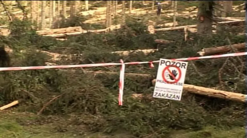 Reportáž Martiny Tlachové