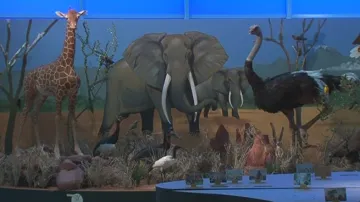 Návštěvníci si mohou Afriku doslova očichat
