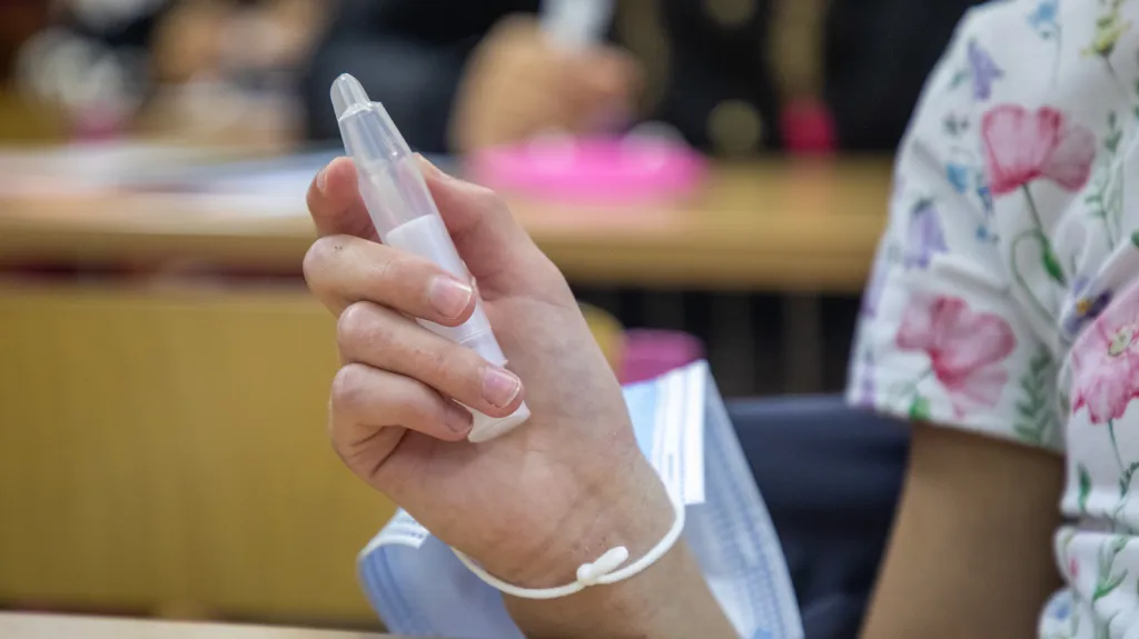 Testování žáků ve školách