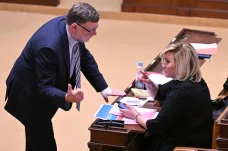 Schillerová kritizuje Stanjuru, že nezveřejnil návrh rozpočtu