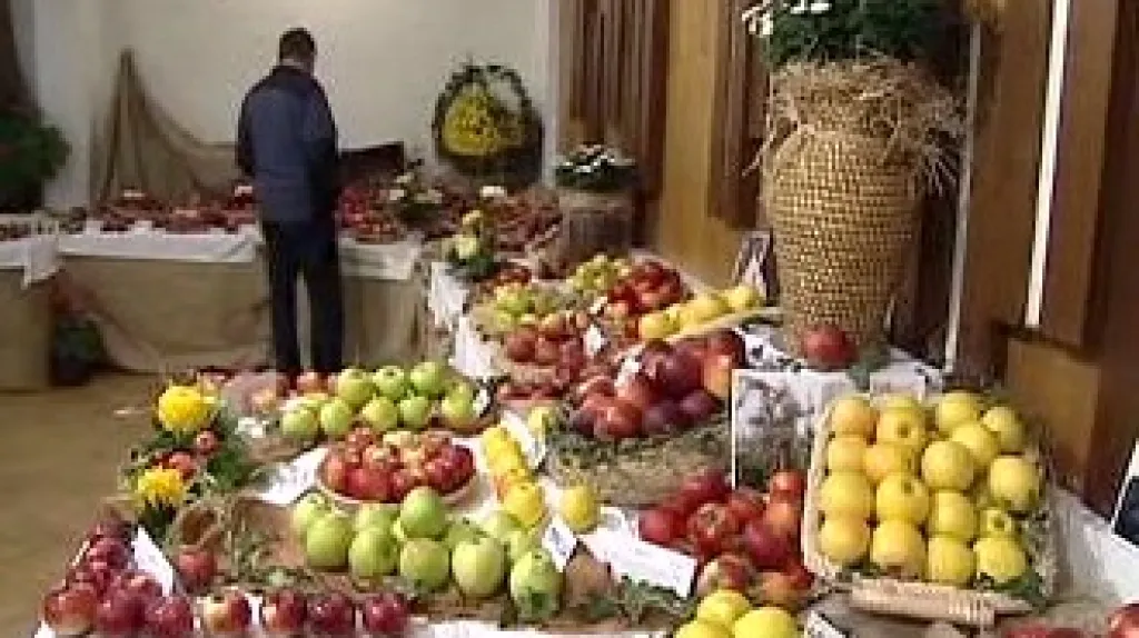 Výstava jablek v Pěnčíně
