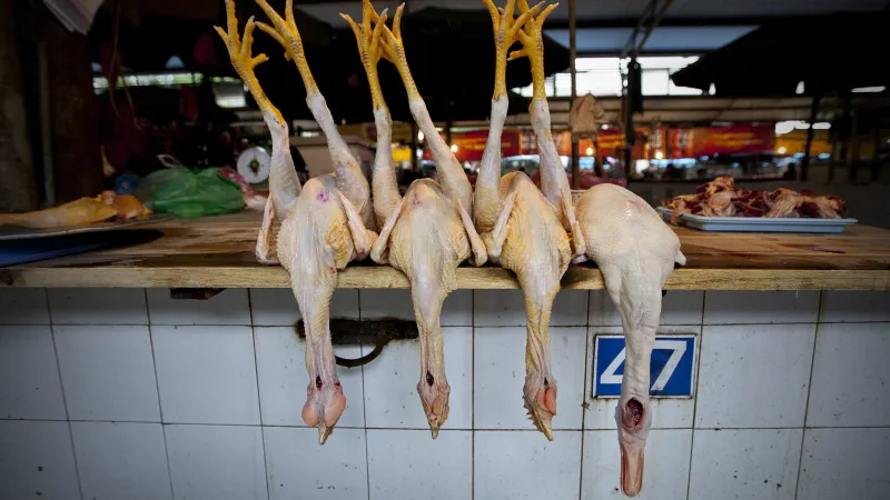 Drůbeží trh v Číně