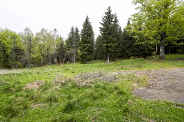 Těžbě lithia na Cínovci nestojí nic v cestě, uvádí studie