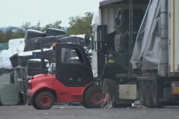 Inspekce nařídila odvézt odpad ze skládky v Lenešicích, z níž se prý šíří švábi