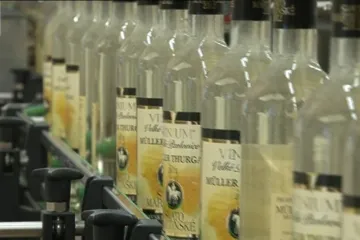 Vinaři stáčí Svatomartinská vína. Ročník bude rekordní