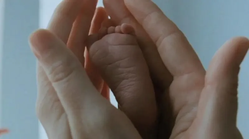 Strom života (Terrence Malick)