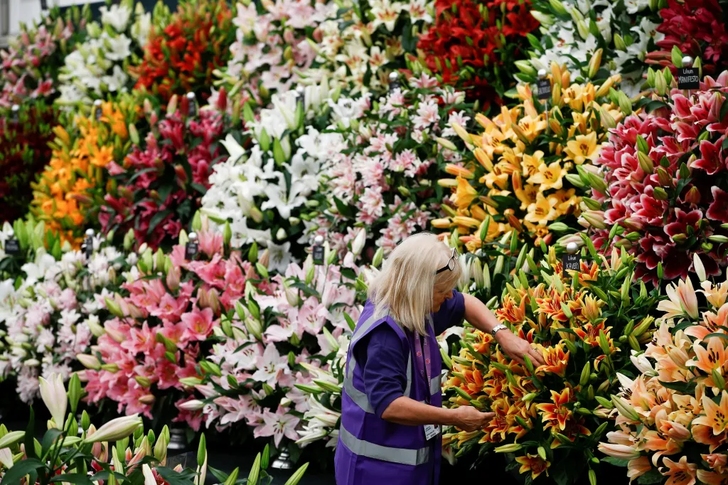 Chelsea Flower Show 2019