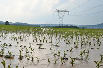Kabinet mění opatření proti erozi půdy