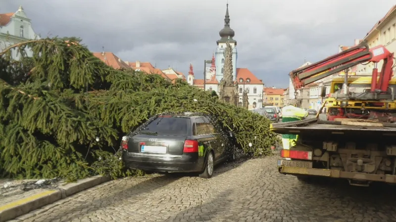 Vánoční strom v Žatci