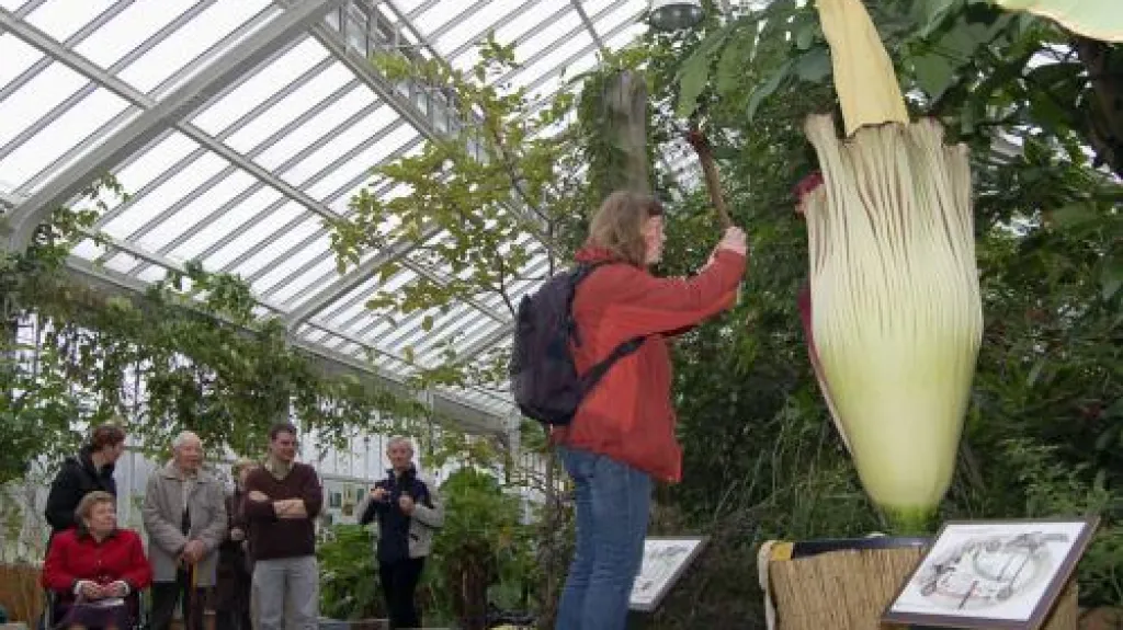 Obdivovatelé zmijovce