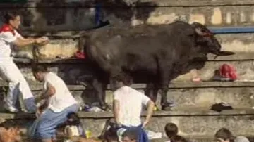 Splašený býk zranil v hledišti na třicet lidí