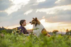 Filmová upoutávka týdne: Lassie se (opět) vrací