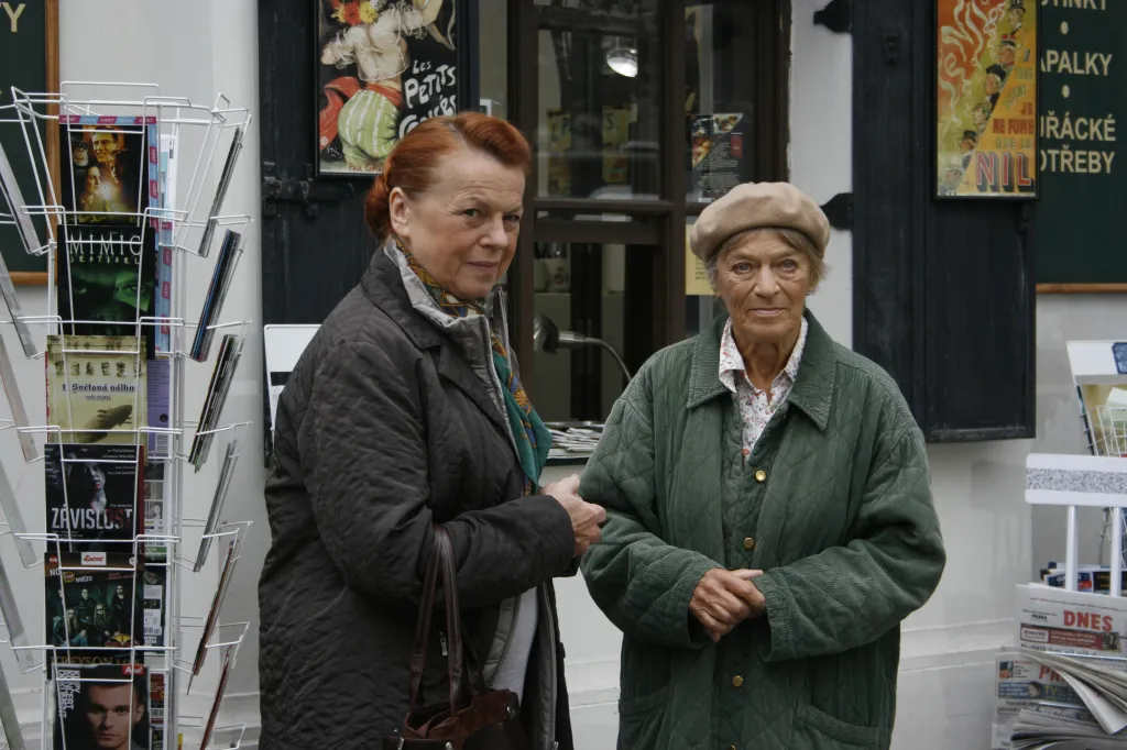 V roce 2010 začala Česká televize vysílat seriál Cukrárna, který sleduje podnikatelské a rodinné úspěchy i neúspěchy majitelky titulního podniku v podání Veroniky Žilkové. Iva Janžurová dostala roli energické a milé babičky