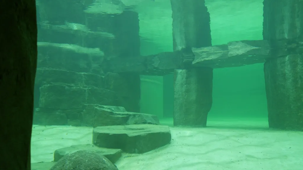 Nový lachtaní pavilon v Zoo Praha