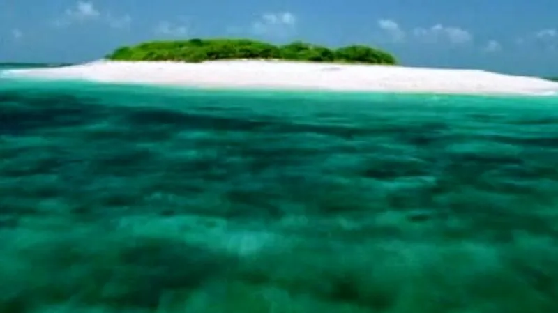 Velký bariérový útes