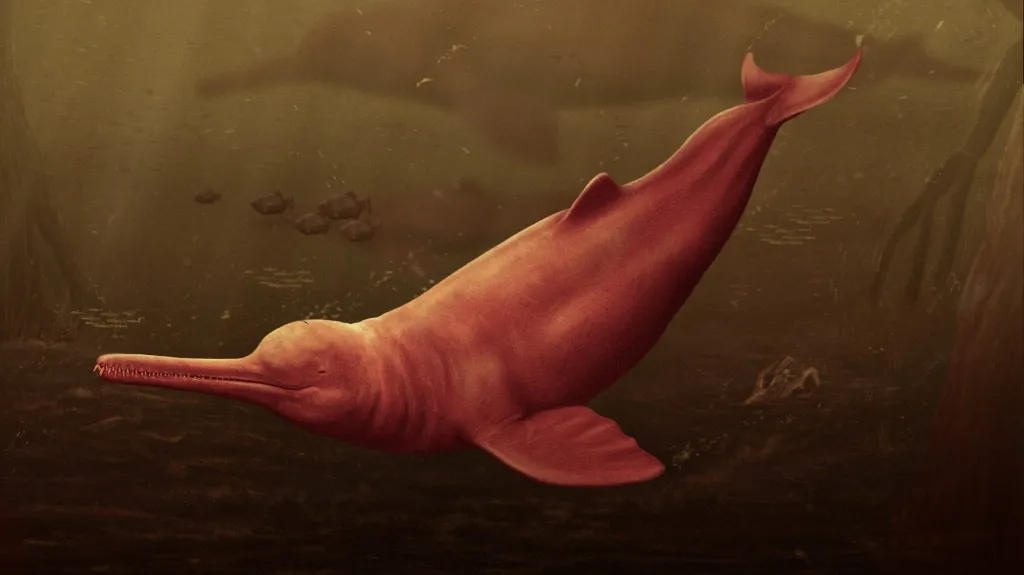 Vizualizace vyhynulého říčního delfína Pebanista yacuruna