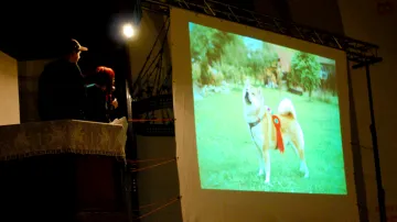 PechaKucha Night Ostrava