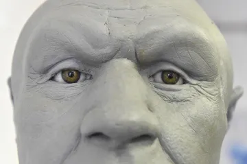 Místo lesů pláně. Neandertálci měnili přírodu kolem sebe už před 125 tisíci lety