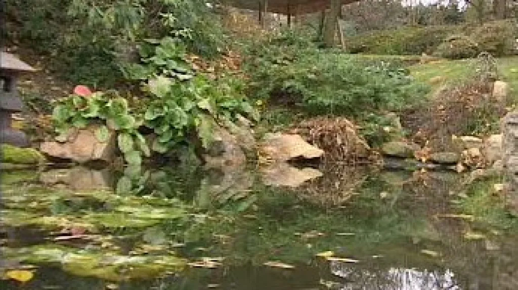 Botanická zahrada Praha