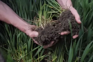 Екологічна шкода в Україні