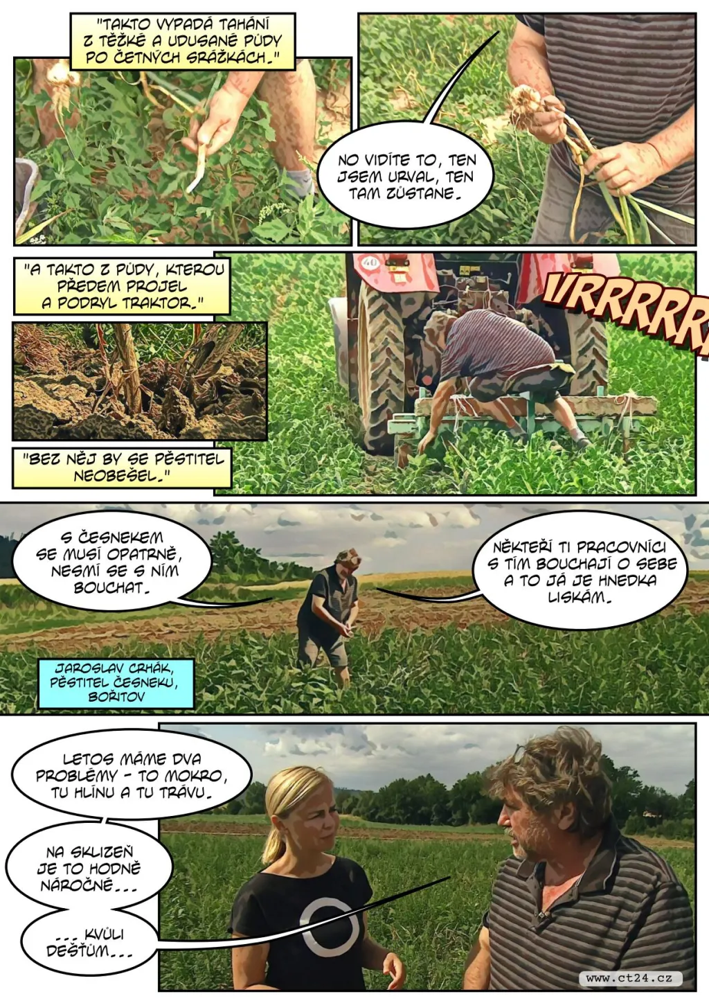 Česneku bude letos dost