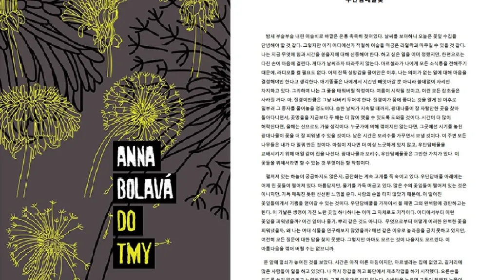 Do tmy Anny Bolavé a její korejský překlad