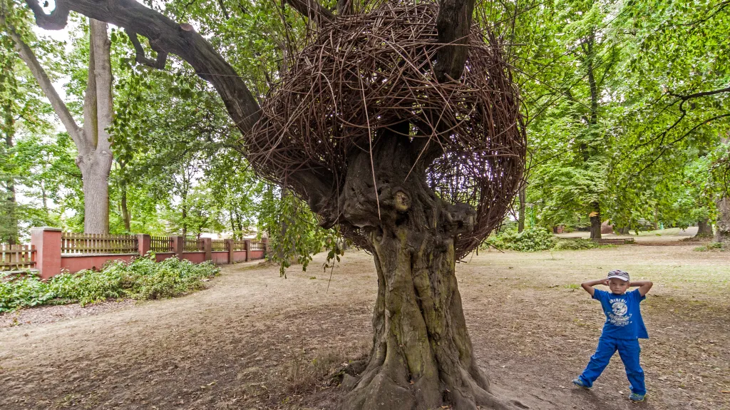 Hnízdo, Stinná – Strančice