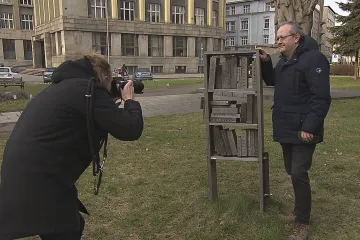 Hmyz je fajnovy. Na různých místech v Ostravě vzniknou hmyzí hotely podle návrhů osmi umělců