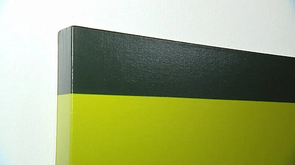 Z výstavy Jiřího Šiguta /detail/