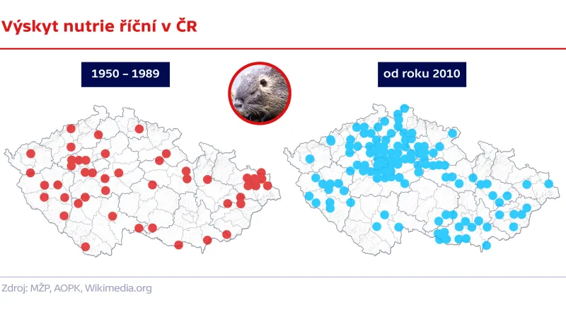 Výskyt nutrie říční v ČR
