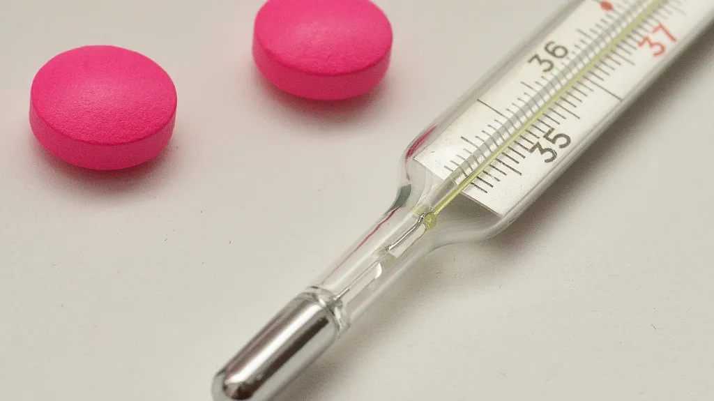 Ilustrační fotografie