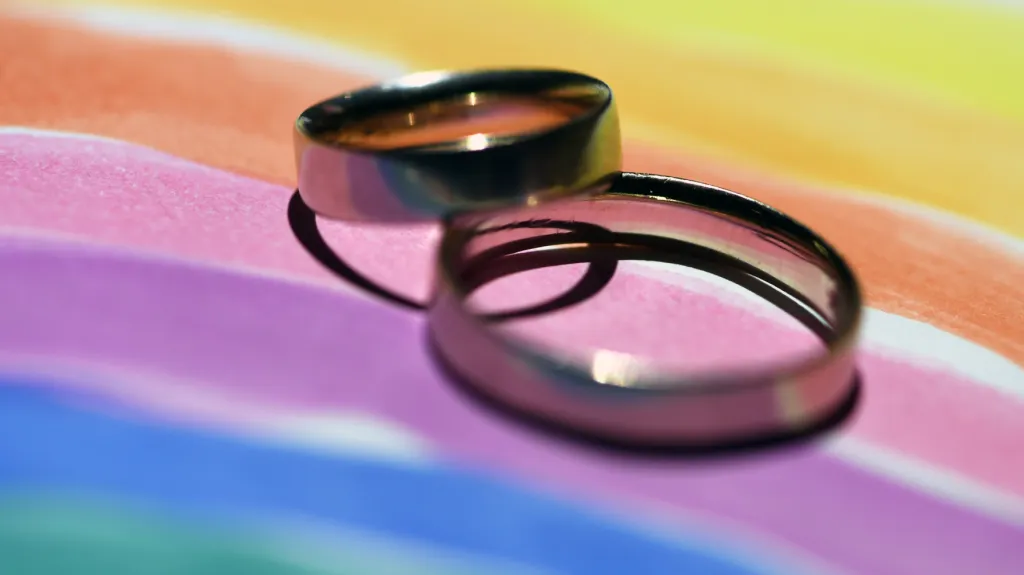 Sňatky osob stejného pohlaví
