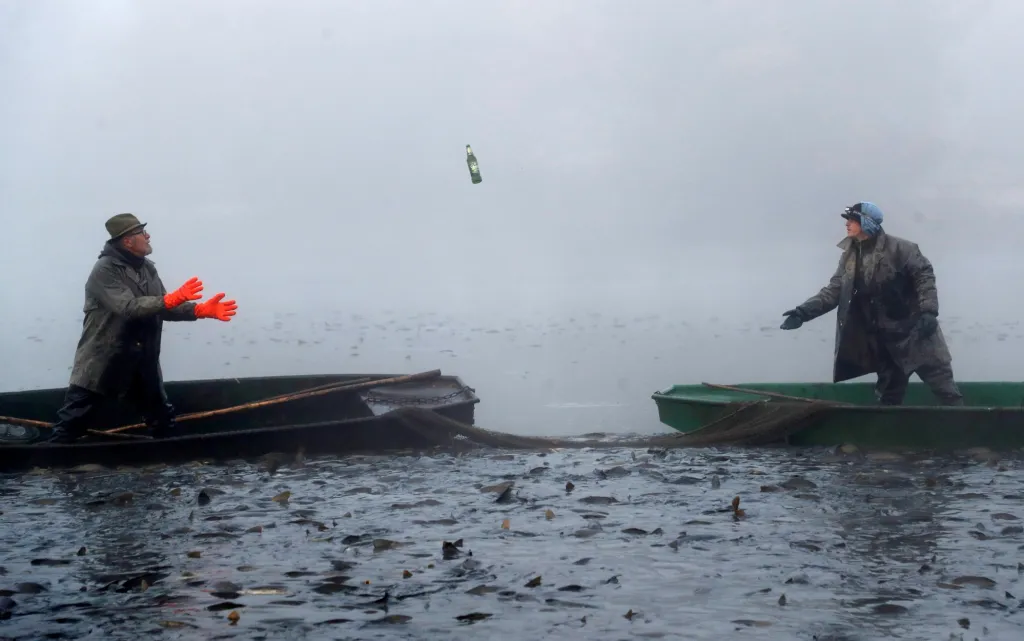 V Česku byly zahájeny předvánoční výlovy rybníků. Na fotografii si přehazují rybáři lahev piva během tradičního lovu kaprů poblíž města Blatná