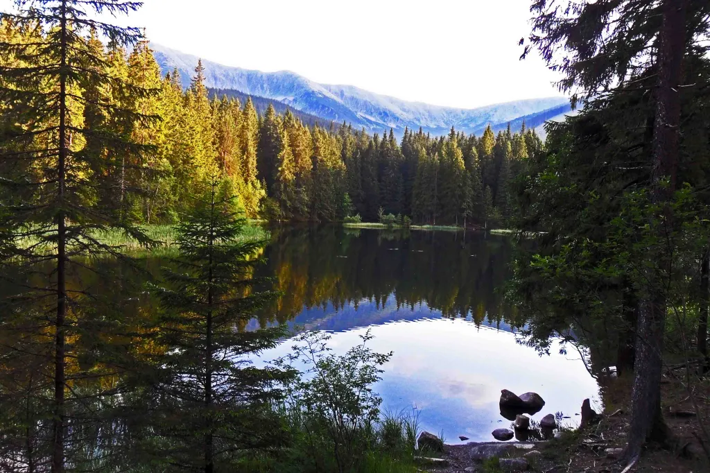 Národní přírodní památka Vrbické pleso