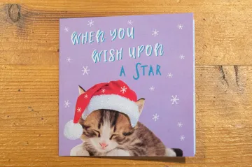 „Jsme nuceni pracovat proti své vůli.“ Dívka objevila ve vánočním přání vzkaz z čínského vězení