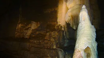 Jeskynním systémem protékají tři toky: Bílá voda, Sloupský potok a Punkva, která vzniká jejich soutokem. Na snímku stalagmit ve Staré Amatérské jeskyni.