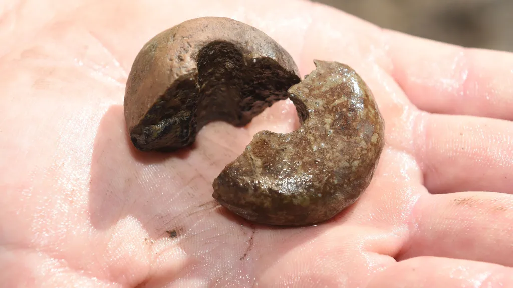 Nálezy archeologů v místě budoucí D1 u Přerova