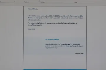 Počet trestných činů v kyberprostoru se letos přiblíží hranici dvaceti tisíc, očekává policie