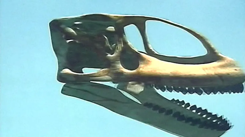 Turiasaurus riodevensis