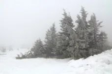 Zmrzlí muži s Žofií si nechají zimu pro sebe. Na víkend se již oteplí