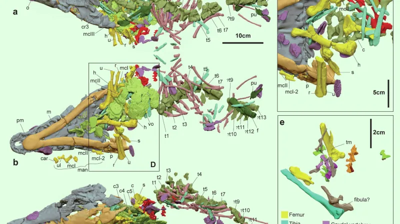 Kostry jsou neoddělitelně spojené