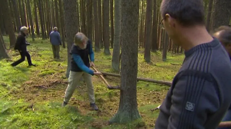 Kácení stromů pomocí sekyr - září 2013