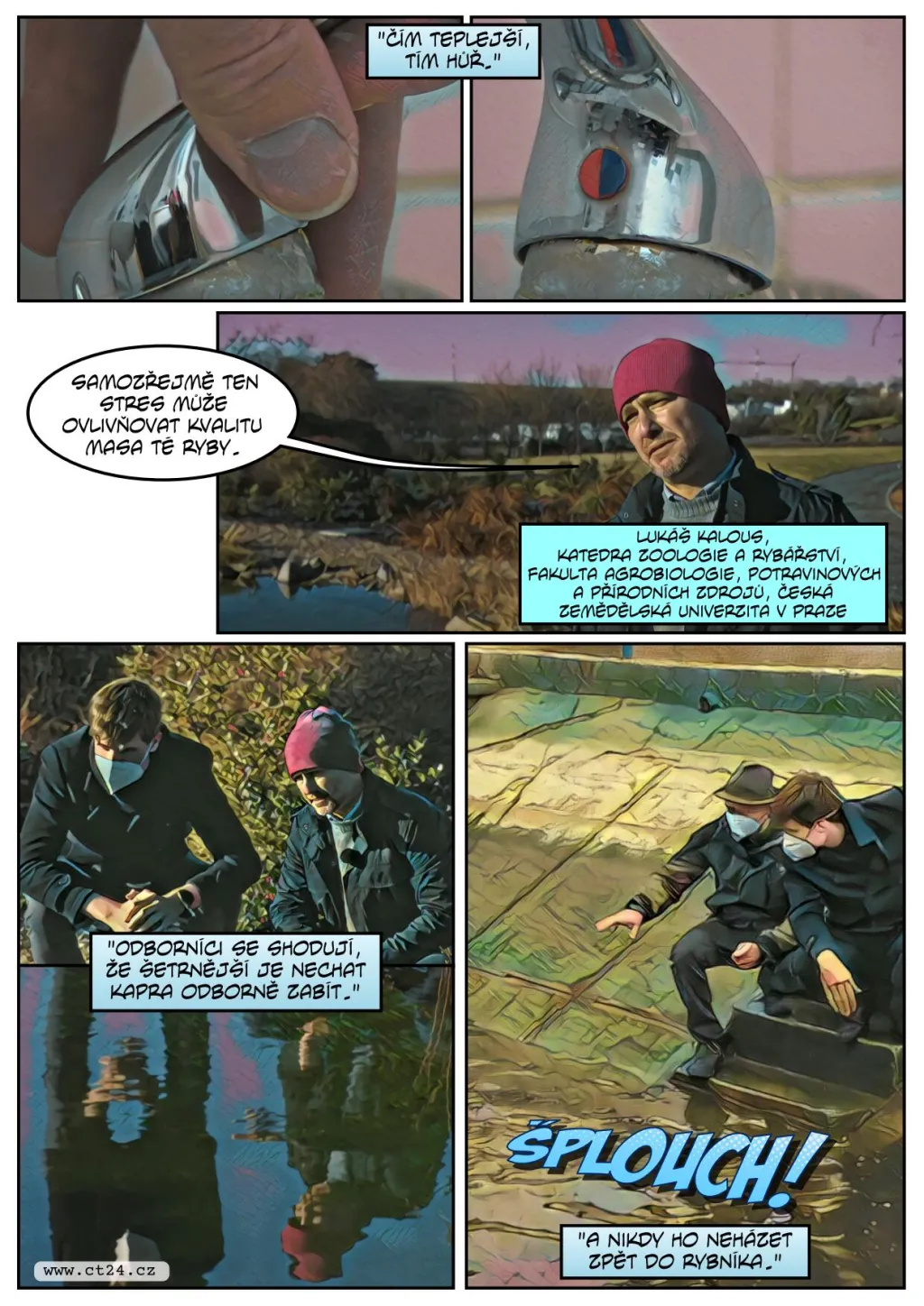Emoce kaprů se mohou projevit na kvalitě masa