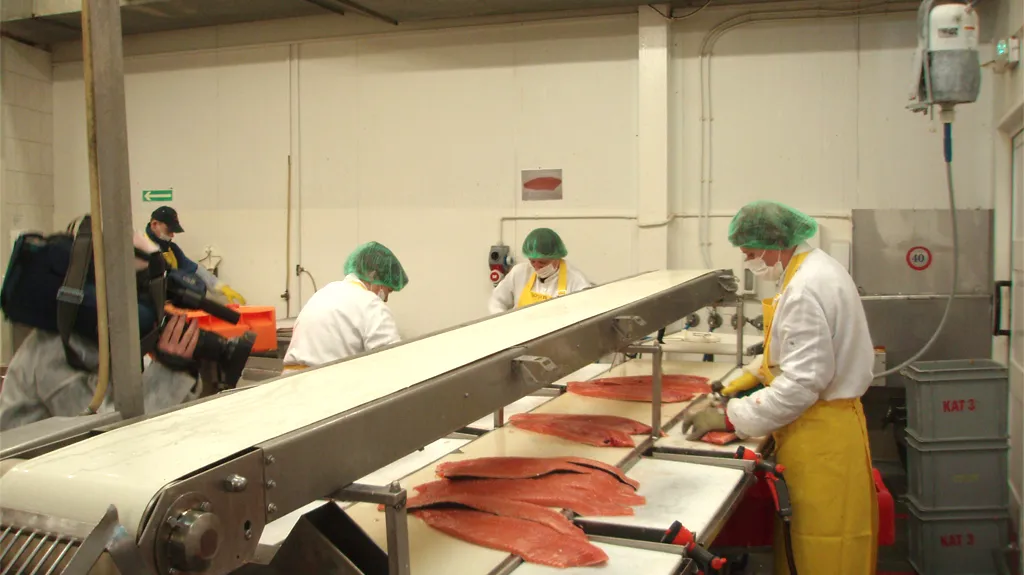 Polsko očima Miroslava Karase