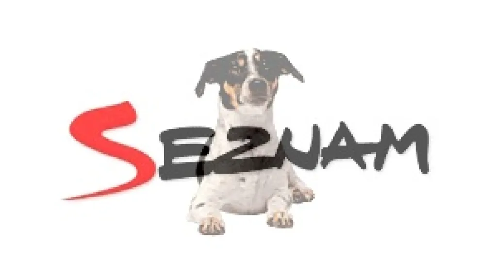 Seznam