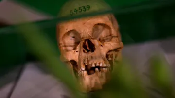 V roce 2018 Němci navrátili ostatky zemřelých zpět do Namibie (foto z ceremonie)